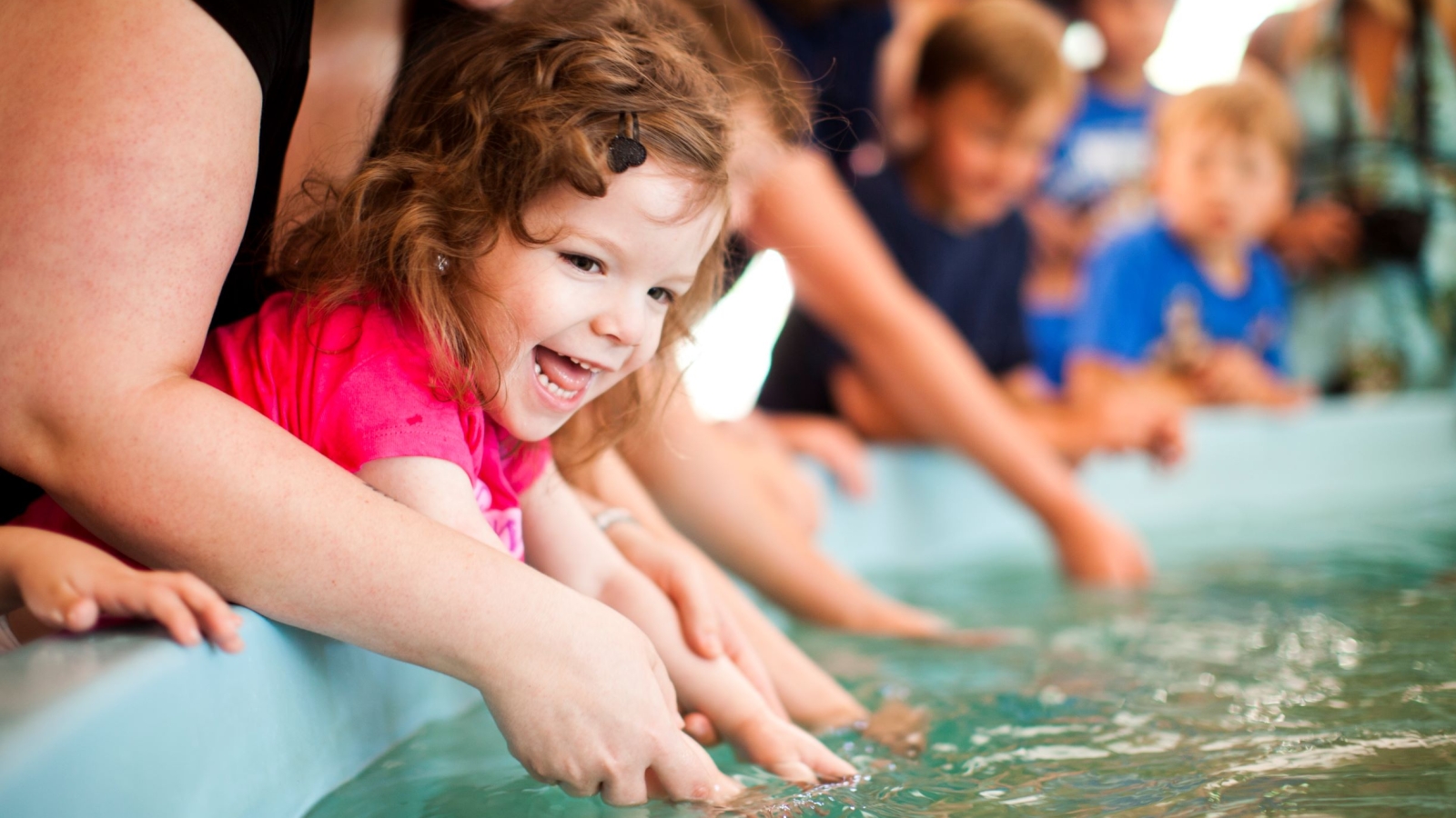 Things To Do with Kids | CTvisit